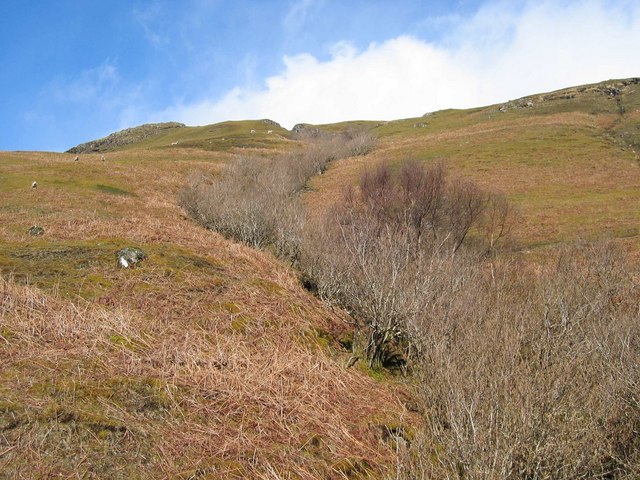 File:Allt Garbh Gorge - geograph.org.uk - 149209.jpg