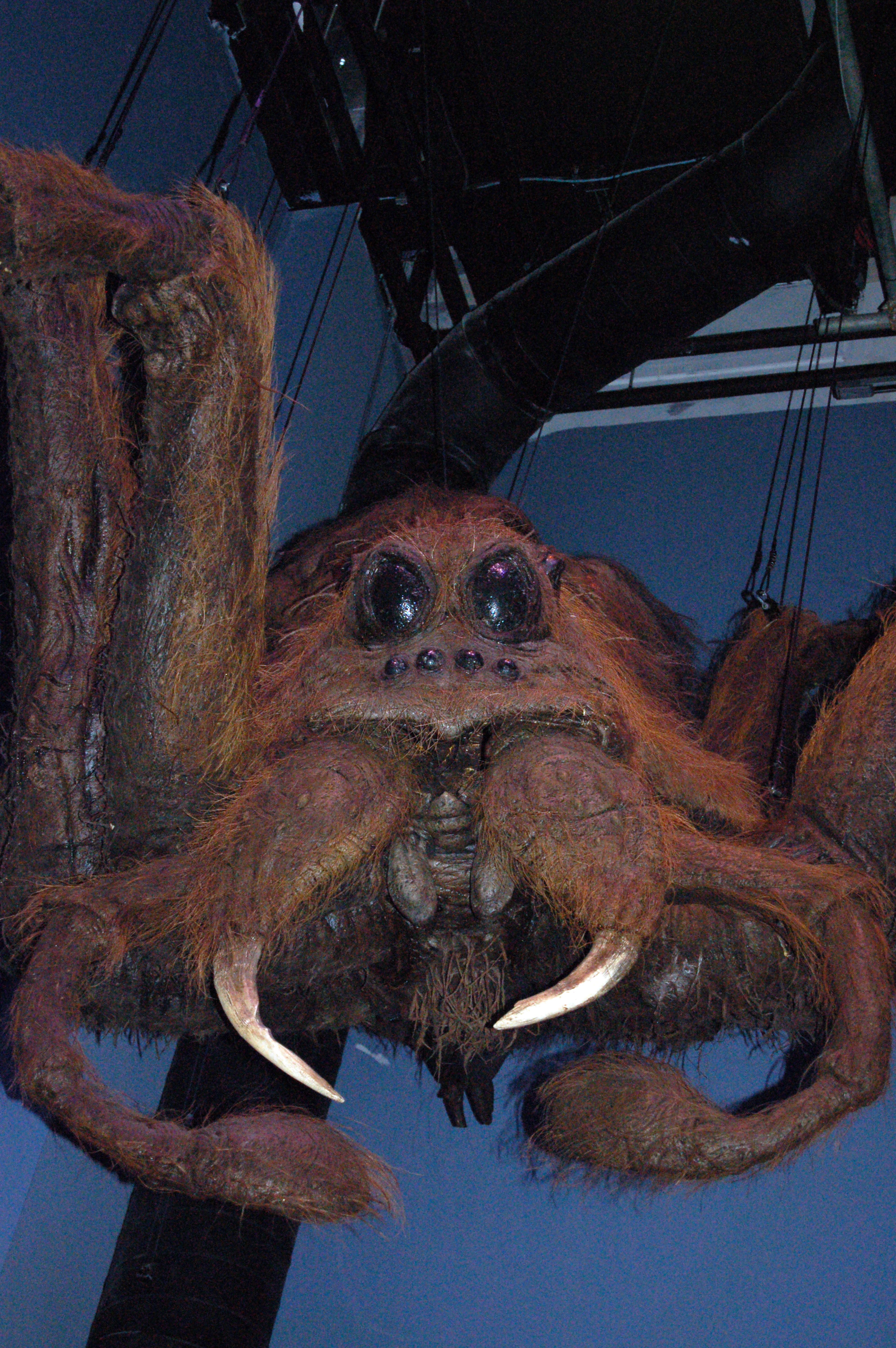 https://upload.wikimedia.org/wikipedia/commons/b/b7/Aragog_%287119116887%29.jpg