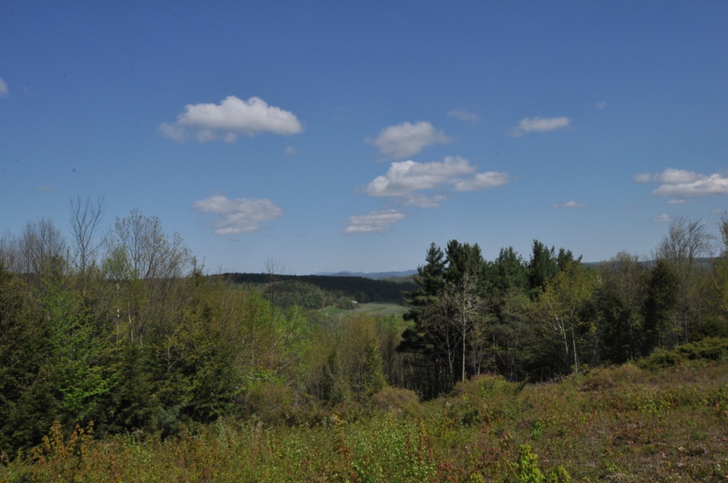 Photo of Bear Swamp