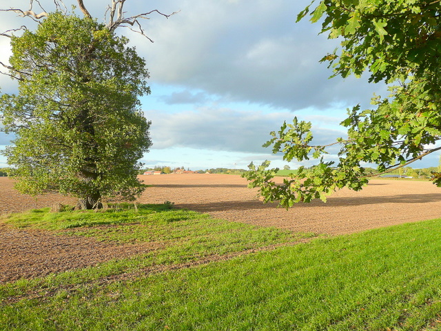 File:Autumnal scene at Bulley - geograph.org.uk - 2133148.jpg