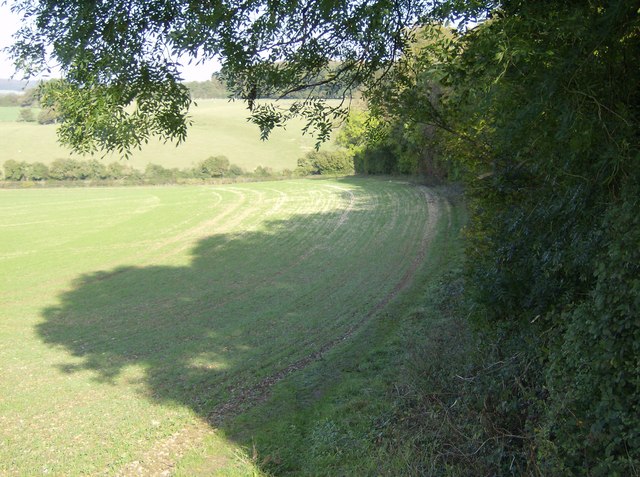 File:Below Dean Wood - geograph.org.uk - 591612.jpg