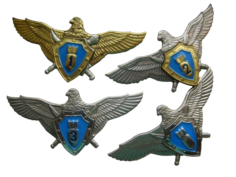 File:Bombardier class qualification badges (Ukrainian Air Force).png