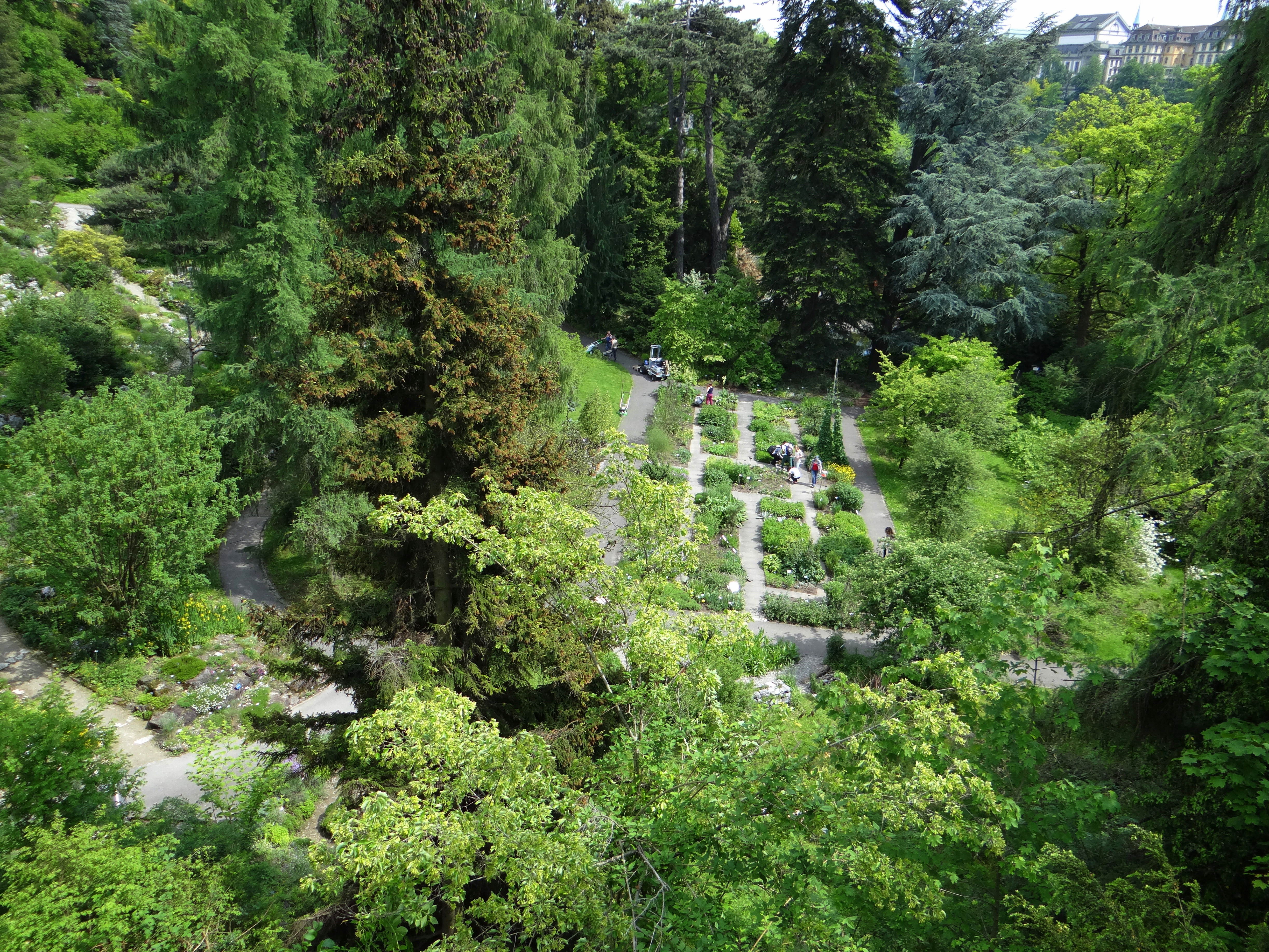 File Botanischer Garten Bern 02 Jpg Wikimedia Commons