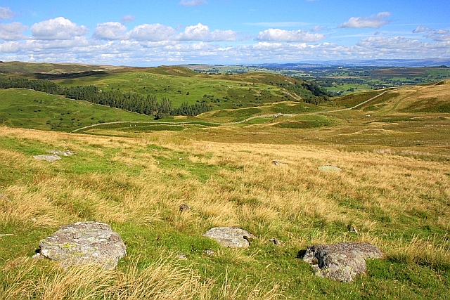 File:Boulders, North Slope of Powley's Hill - geograph.org.uk - 2039316.jpg