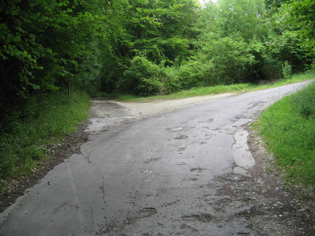 File:Bridleway branching off into Bignortail Wood - geograph.org.uk - 1406607.jpg