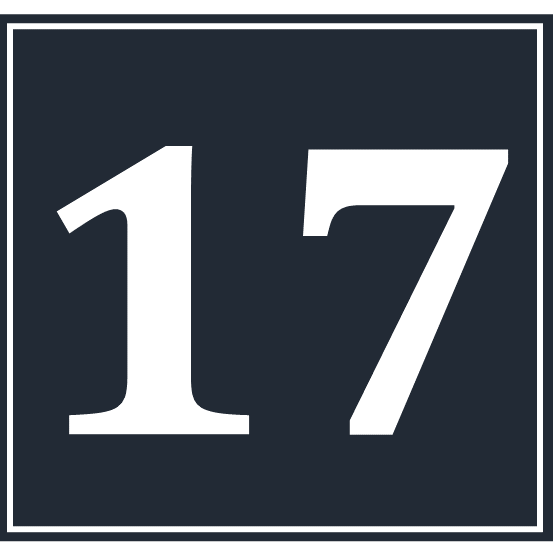 Icon 17