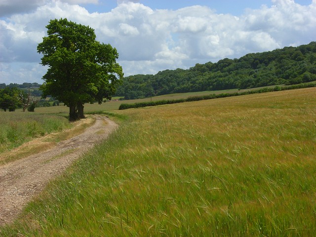 Collier's Lane, Stokenchurch - geograph.org.uk - 883587