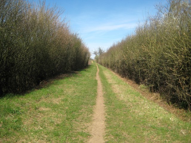 File:Colney Heath, Footpath to Coopers Green Lane - geograph.org.uk - 4436571.jpg