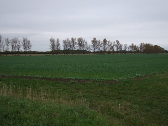 File:Crop field off Spendla's Lane - geograph.org.uk - 4718411.jpg