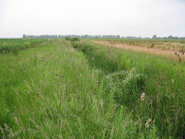 File:Ditch across farmland - geograph.org.uk - 463765.jpg