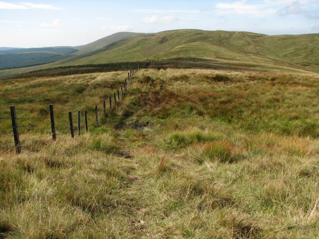 File:Ettrick Pen, southwest ridge - geograph.org.uk - 237434.jpg