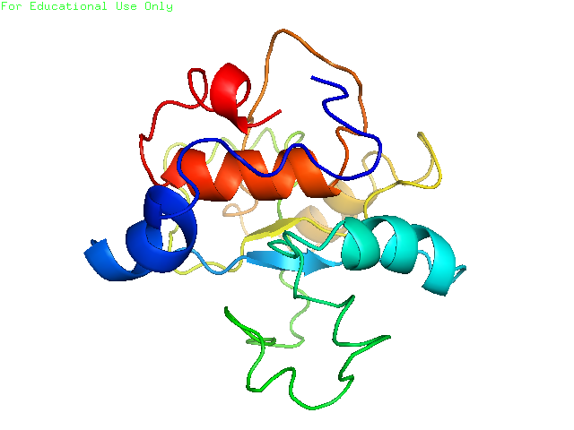 File:Family with sequence similarity 231 member B (FAM231B) human protein secondary structure.png