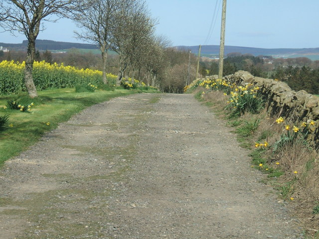 File:Farm road to Easter Knock - geograph.org.uk - 403545.jpg