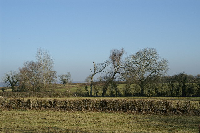 File:Fields at Washbrook - geograph.org.uk - 113237.jpg