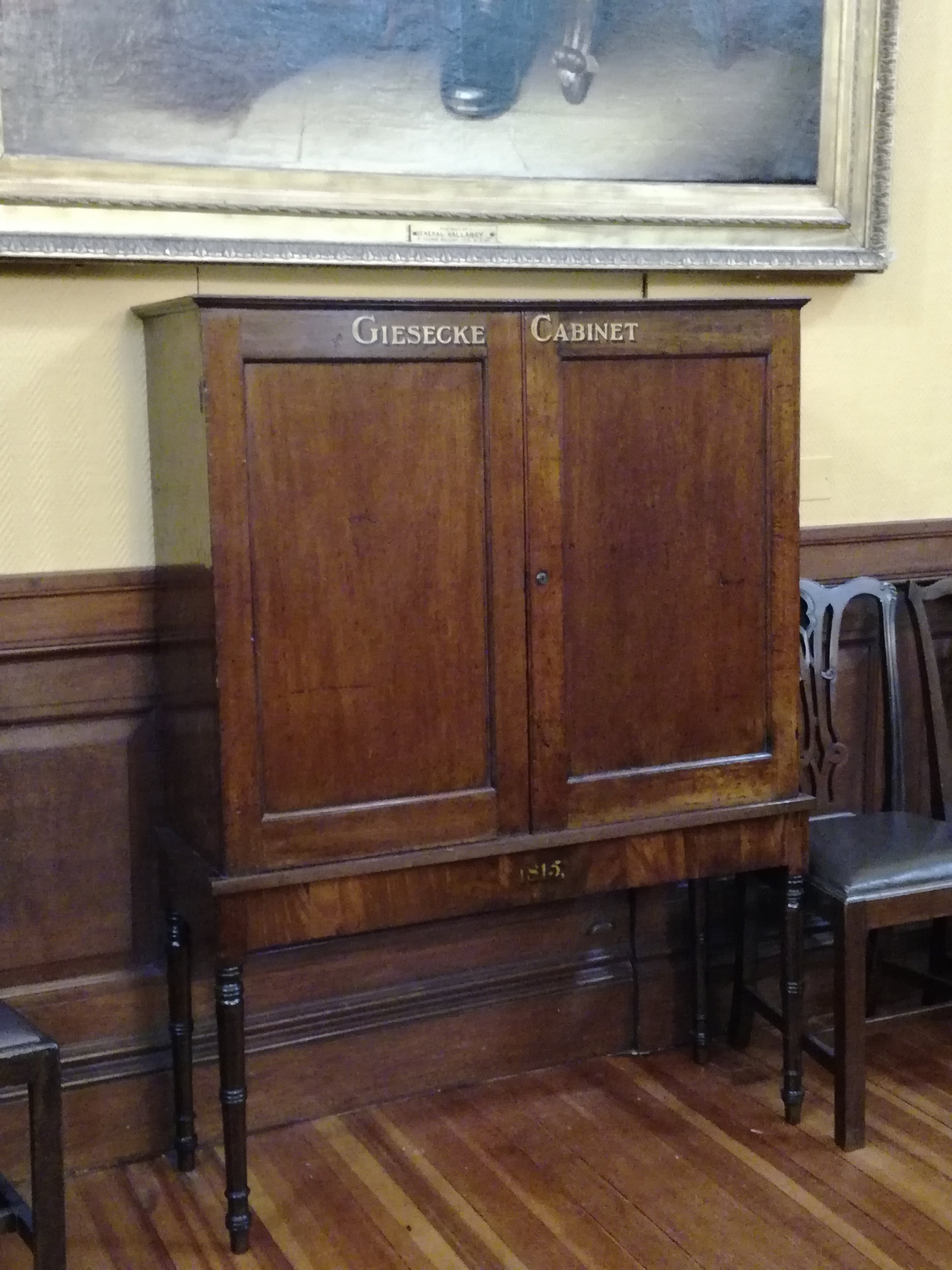 The cabinet which once contained the collections of Giesecke, in the RDS