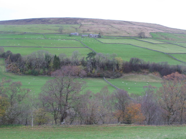 File:Hanging Shaw - geograph.org.uk - 612992.jpg