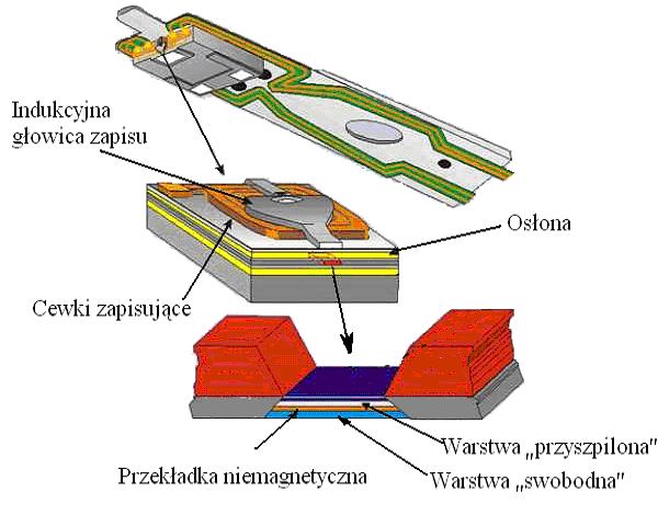 File:Head of disc.jpg