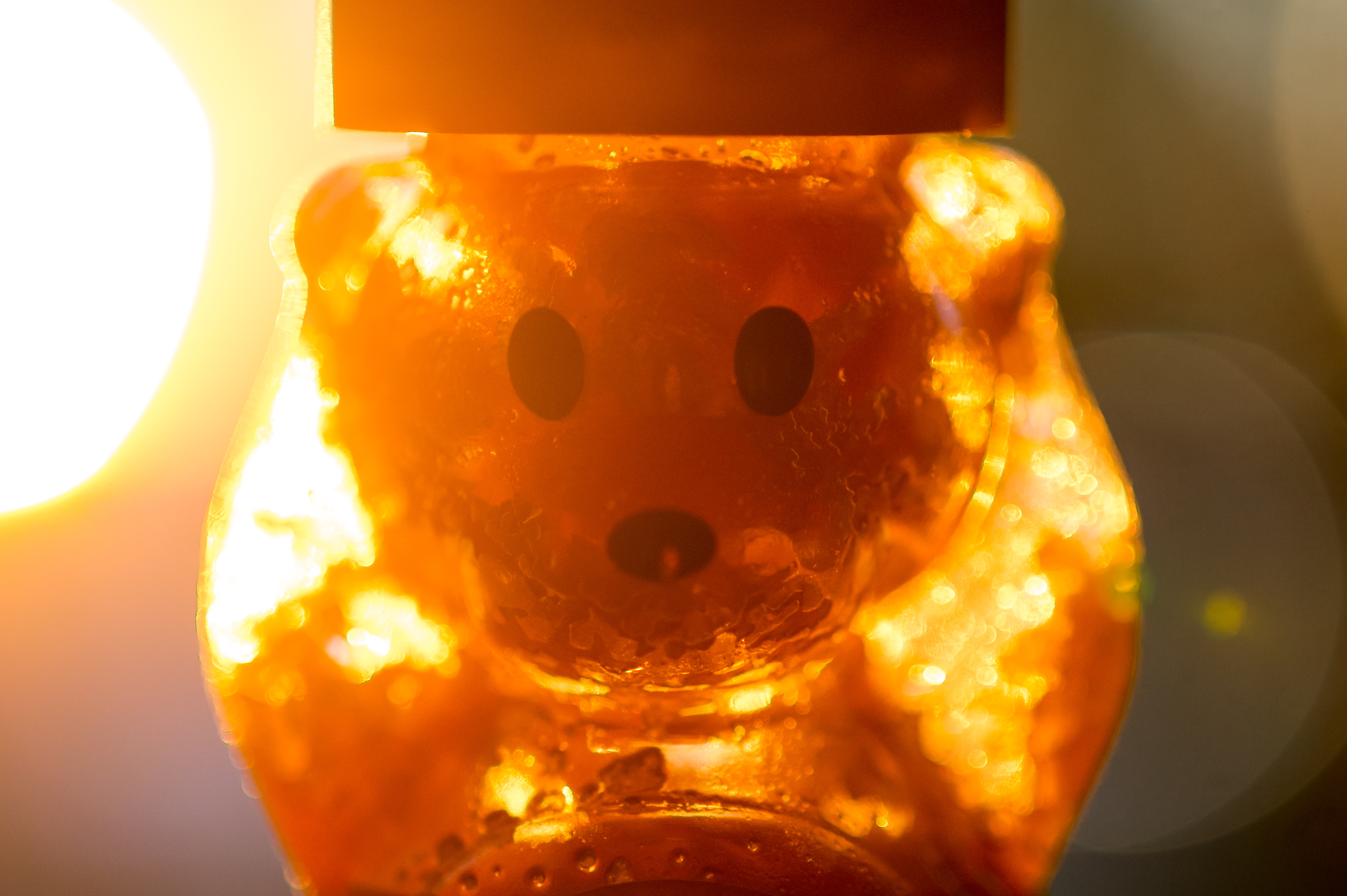 Honey Bear - Backlit (20302280285).jpg