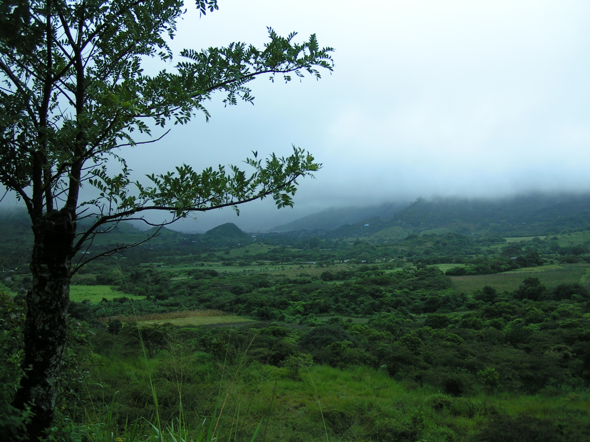 Jinotega Никарагуа. Никарагуа леса. Хинотега.