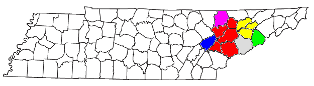 File:Knoxville-Sevierville-La Follette CSA.png