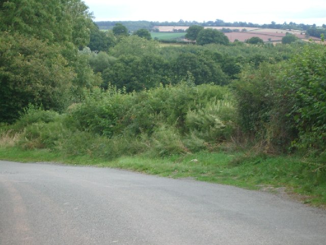File:Lane near Little Froome Farm - geograph.org.uk - 44342.jpg