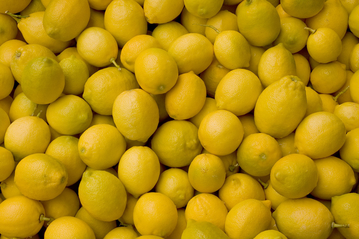 Commons:A. Lemons (5216703003).jpg. 