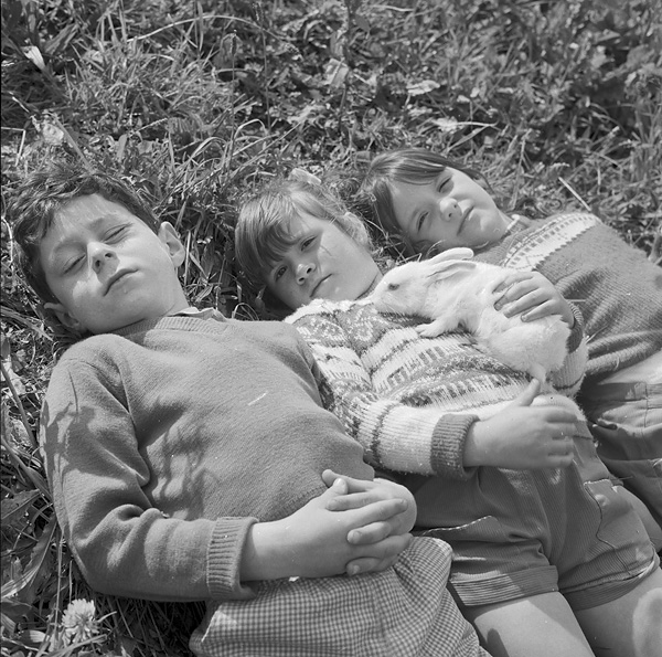 File:Llangefni children enjoying the sun with their pet rabbit.jpg