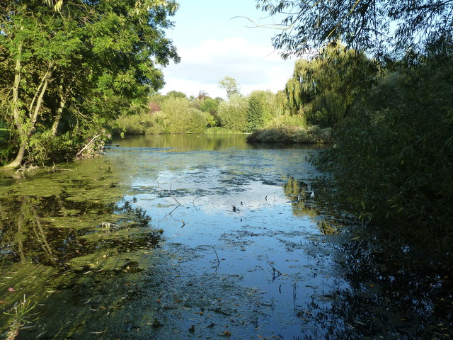 Mill Pond Kemerton - geograph.org.uk - 3154471