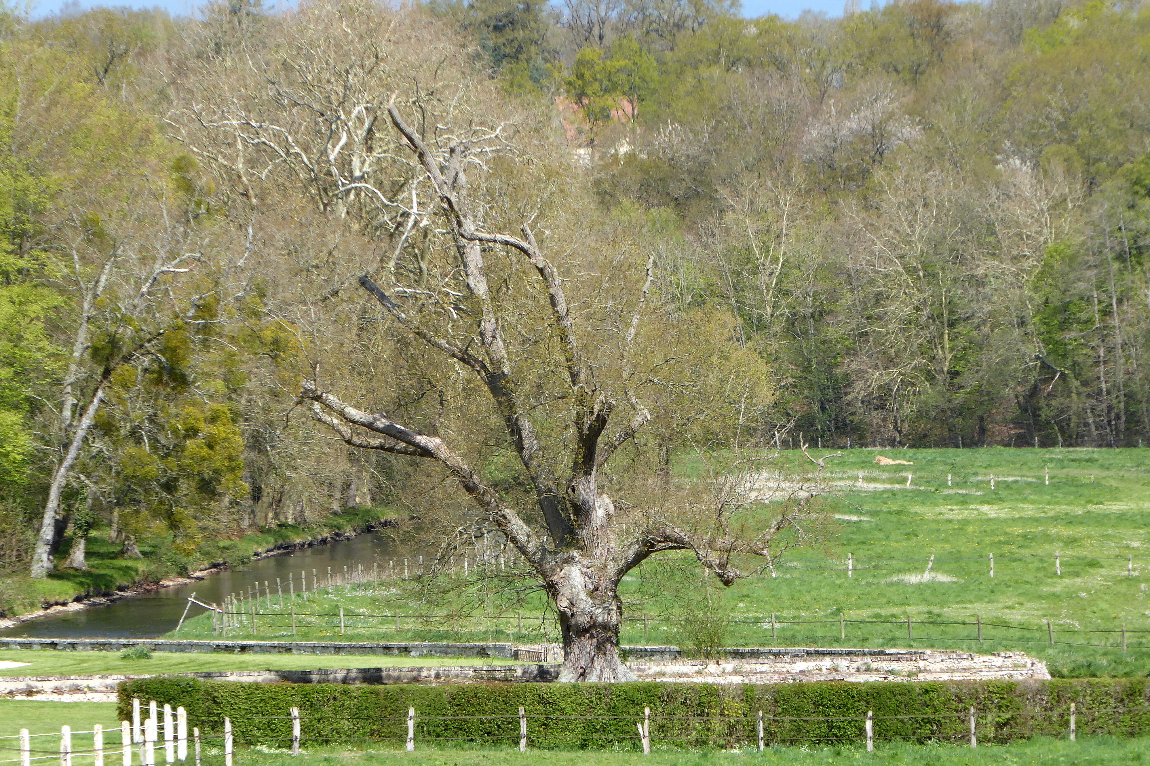 Montigny-sur-avre