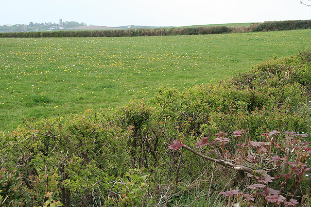 File:Morchard Bishop, near West Aish - geograph.org.uk - 409676.jpg