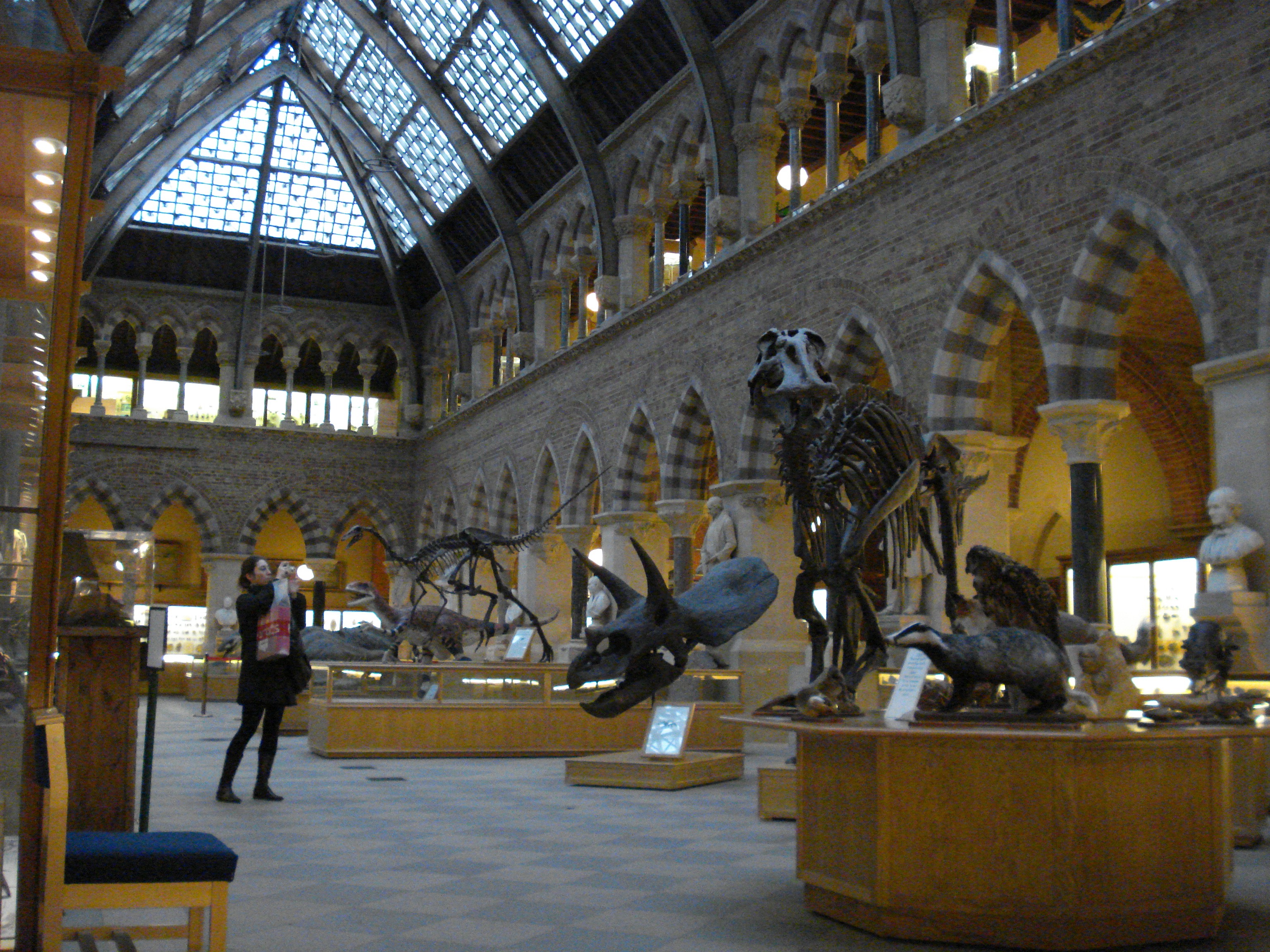 Oxford university metropolitan museum. Oxford University Museum of natural History. Бесплатный музей в Хайфском университете. Oxford University Museum of natural History topic. Mini Oxford Museum.