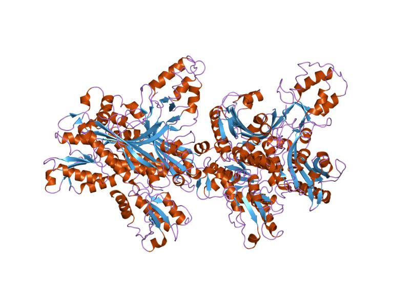 File:PDB 2g4c EBI.jpg