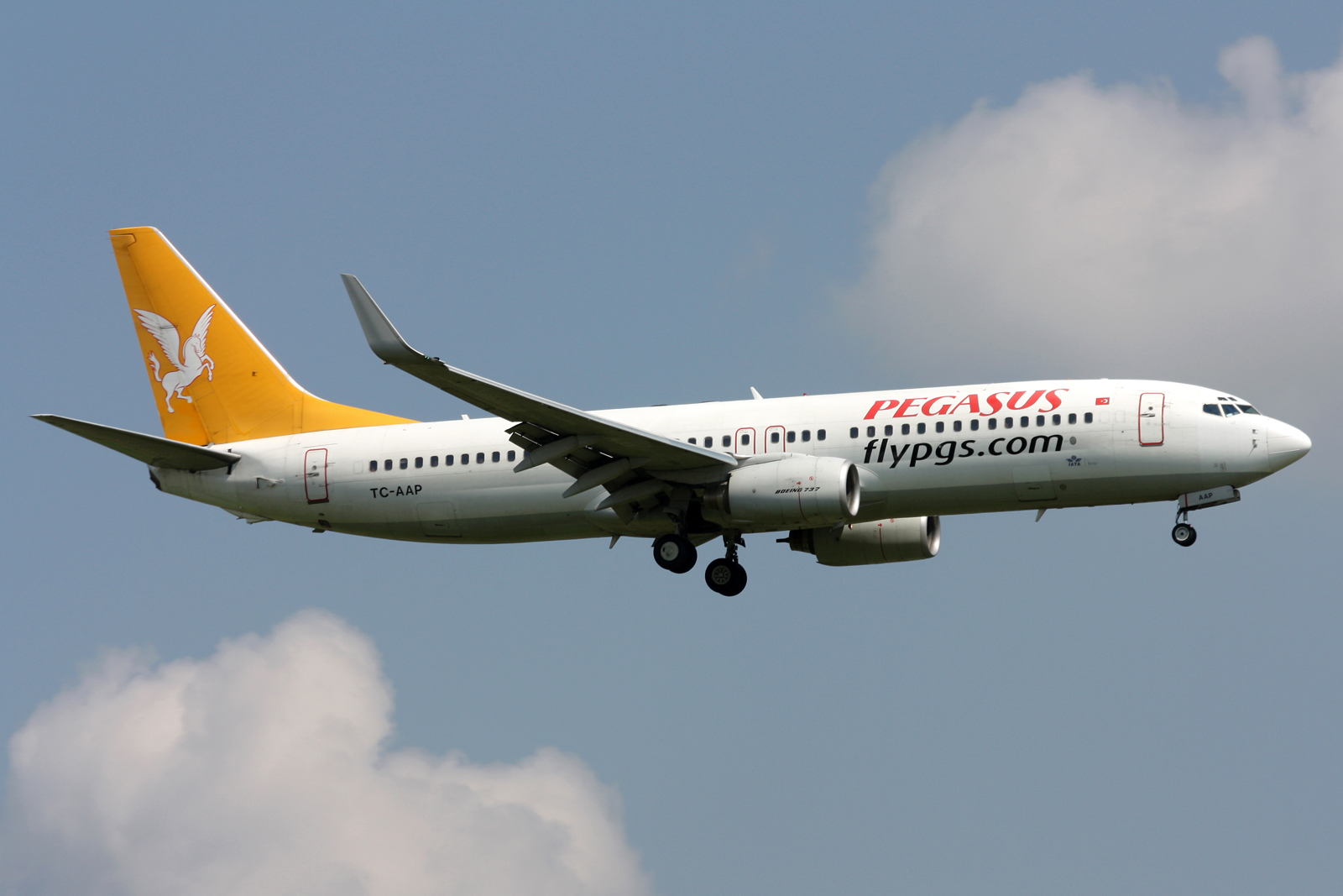 Эйрлайнс pegasus. Boeing 737 Pegasus Airlines. Boeing 737-86n. Боинг 737-800 Pegasus Airlines. Pegasus Airlines 2 самолета Boeing 737-400.