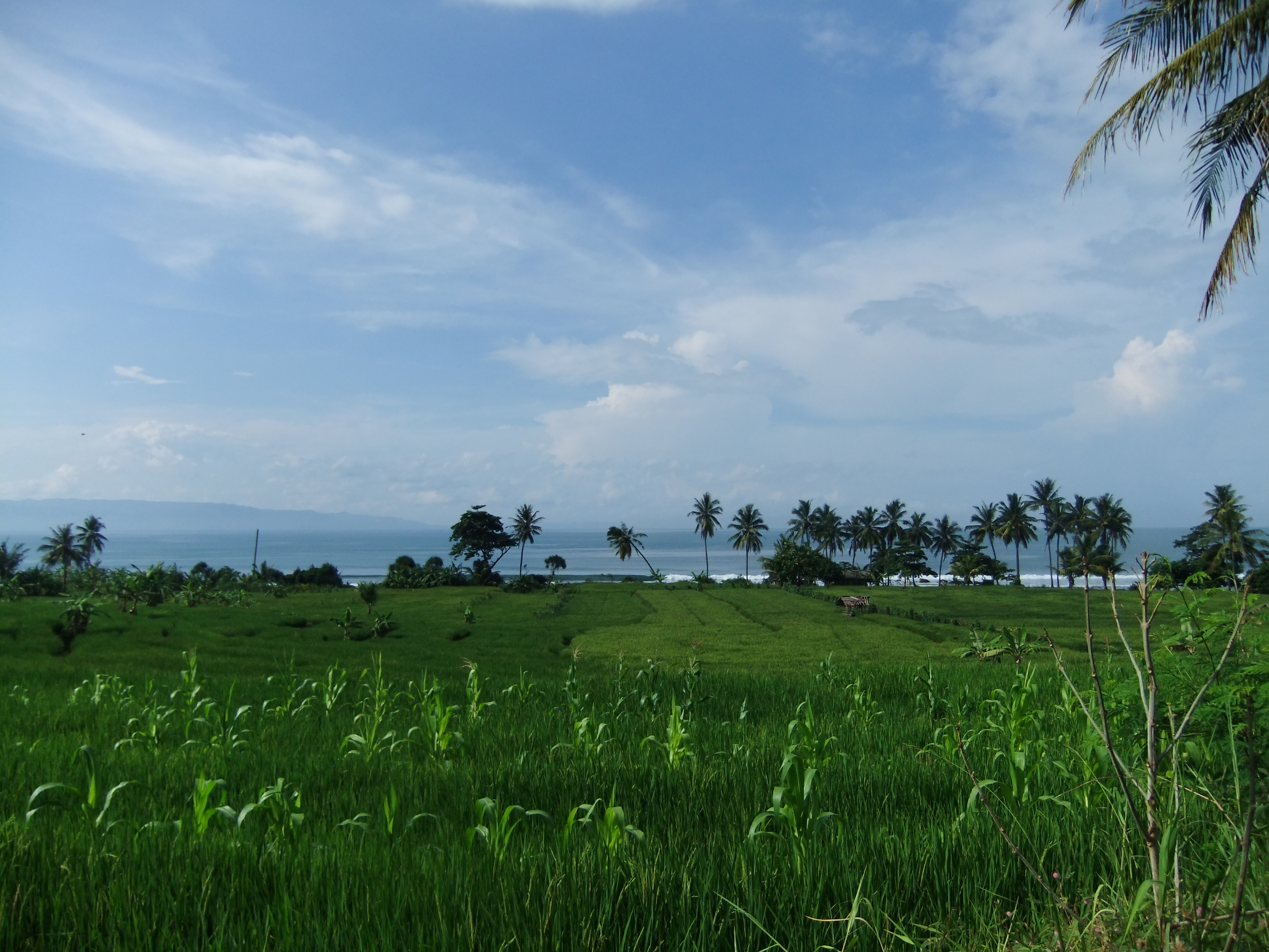 Filepemandangan Di Pelabuhan Ratujpg Wikimedia Commons