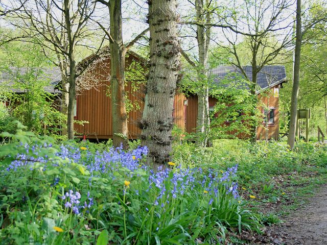 Risley Moss Visitor Centre in springtime - geograph.org.uk - 1389246