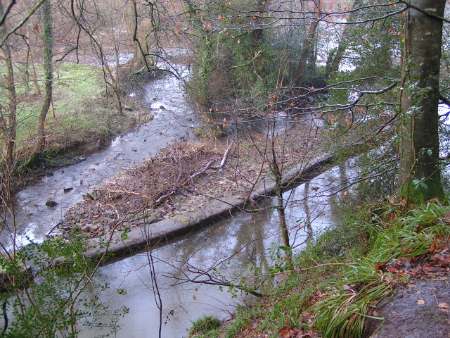 File:River Exe and Bickleigh Mill leat - geograph.org.uk - 1631722.jpg