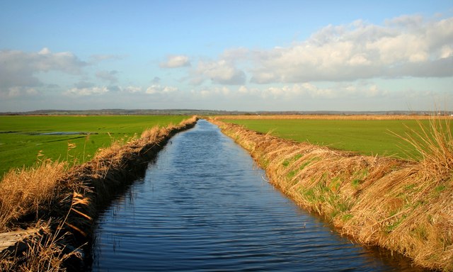 Romney Marsh - geograph.org.uk - 228875