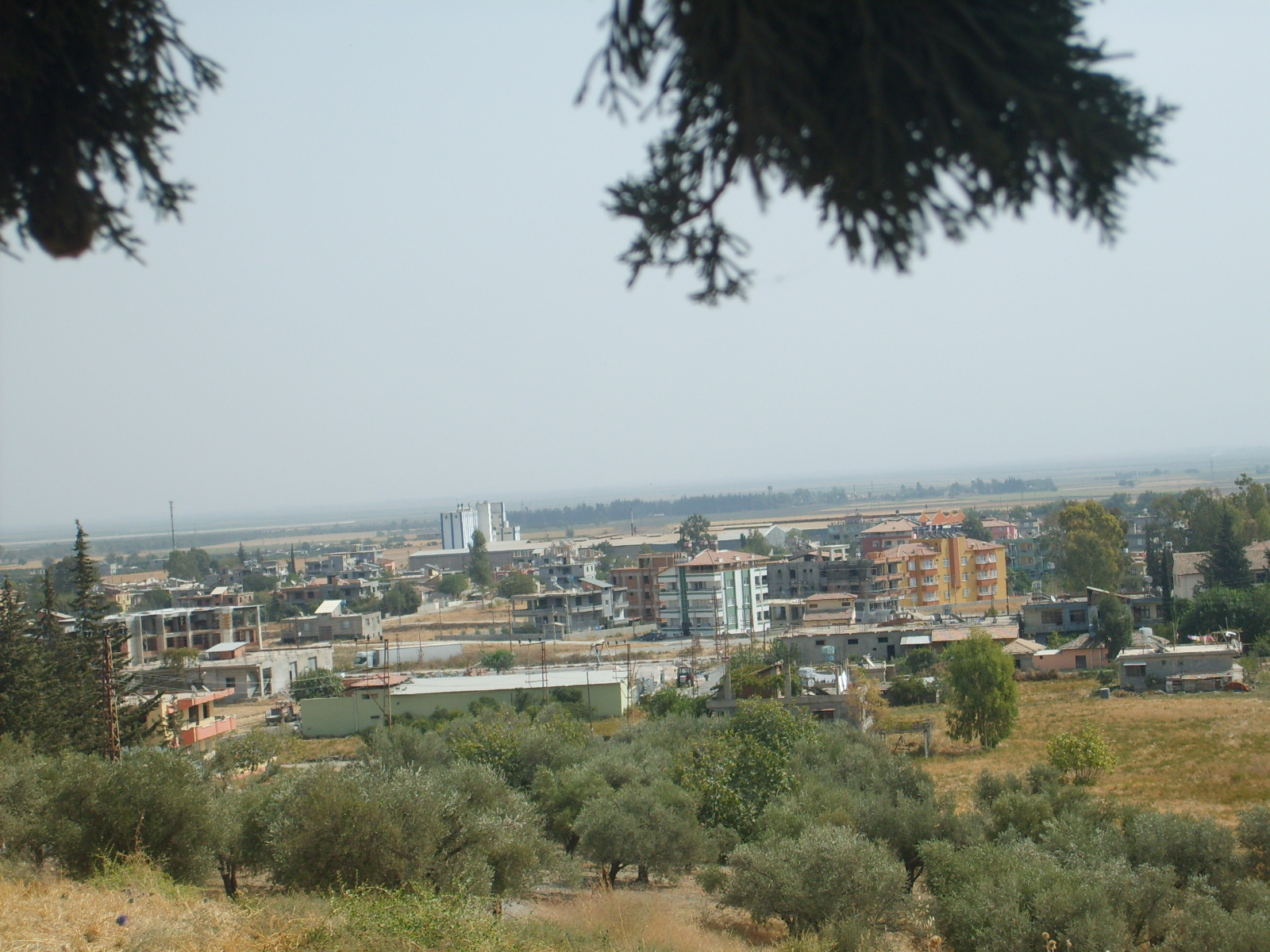 Guclu Bahce City Acilisini Dev Makasla Yaptilar