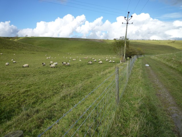 File:Sheep farming at Compton Valence - geograph.org.uk - 3219293.jpg