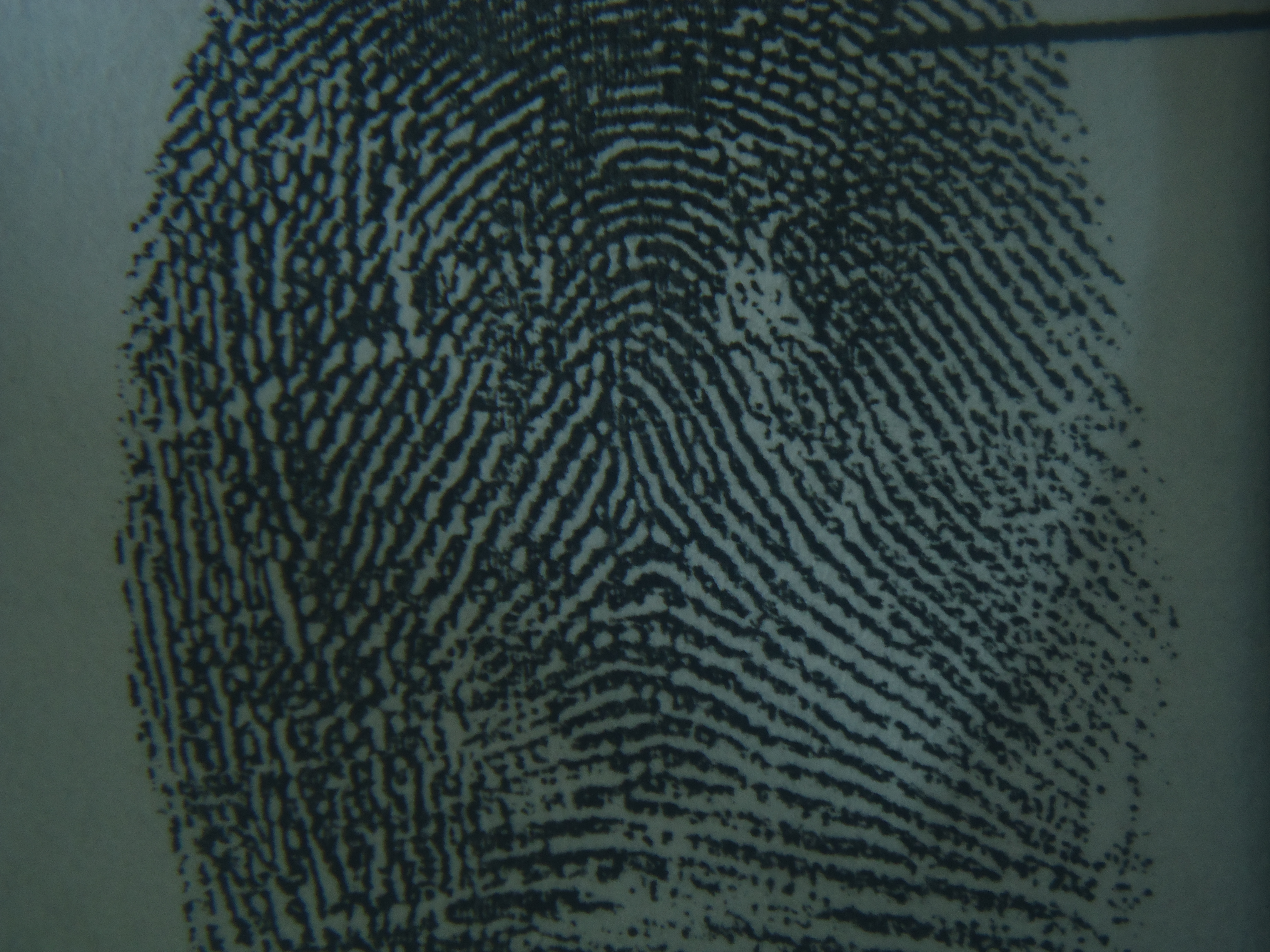 tented arch fingerprint