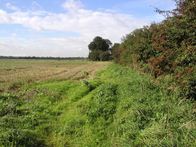 The Minster Way - geograph.org.uk - 252281