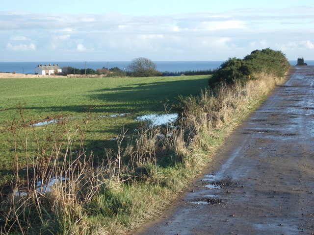 File:Track to Leyton - geograph.org.uk - 612772.jpg