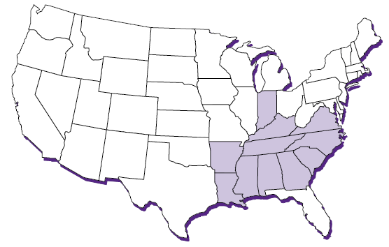 File:USA stroke belt.png