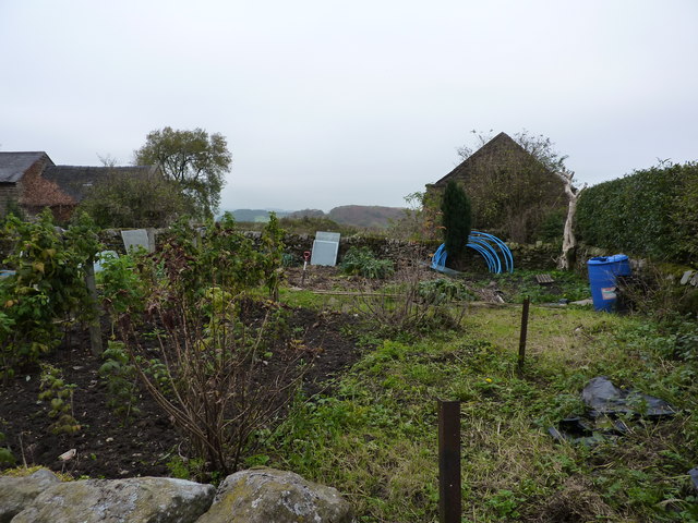 File:Vegetable garden, Elton - geograph.org.uk - 1559954.jpg