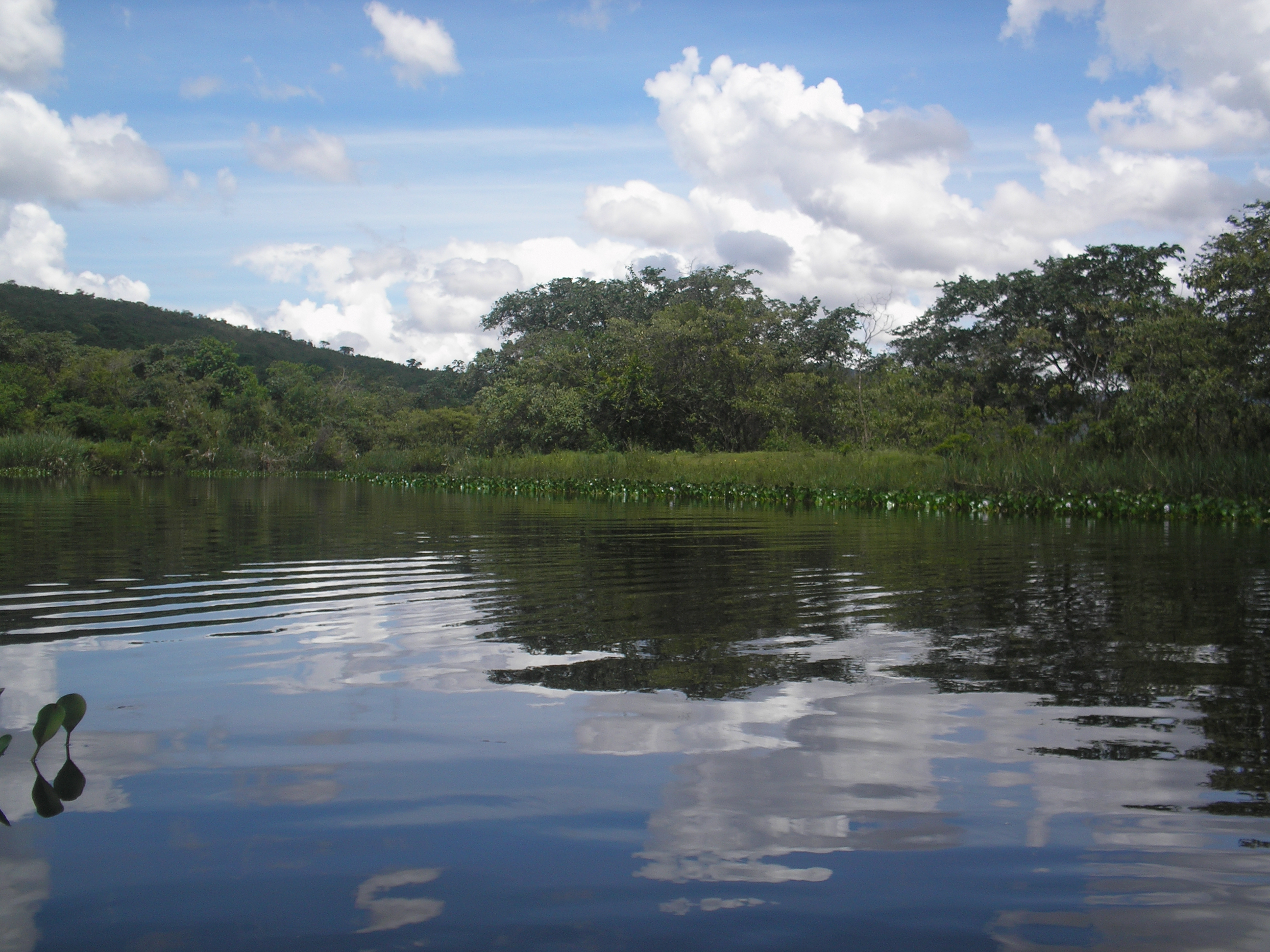 Rio Cipó livre – a enciclopédia Wikipédia