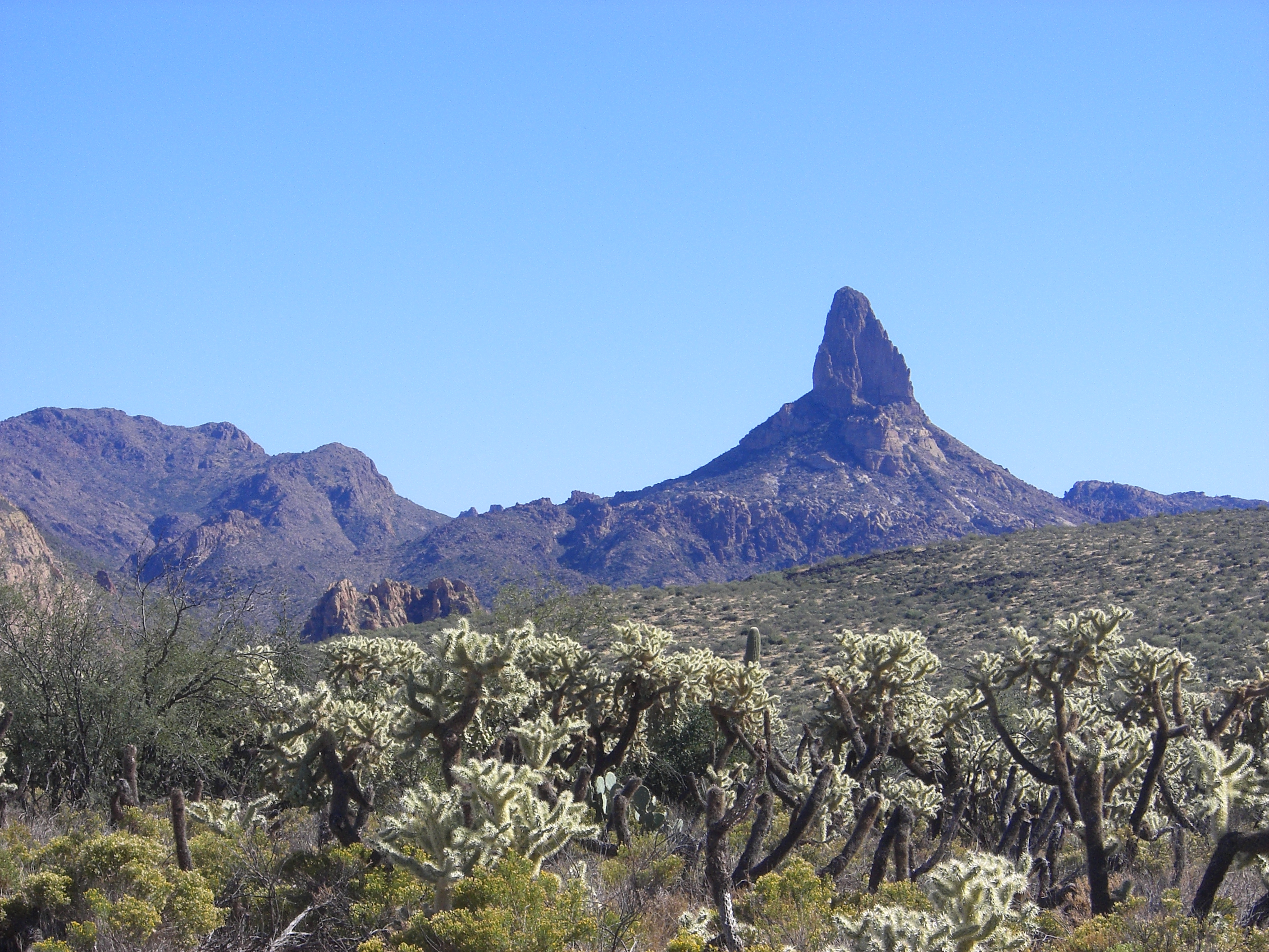 Photo of Weaver's Needle