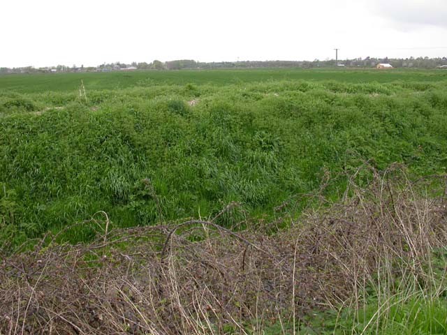 File:West of the Byway - geograph.org.uk - 161928.jpg