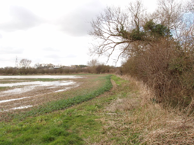 File:Wet field near Marston Common - geograph.org.uk - 352966.jpg