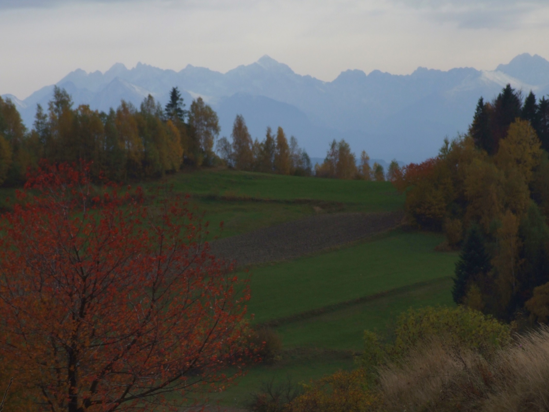 Trasy MTB - Łopuszna