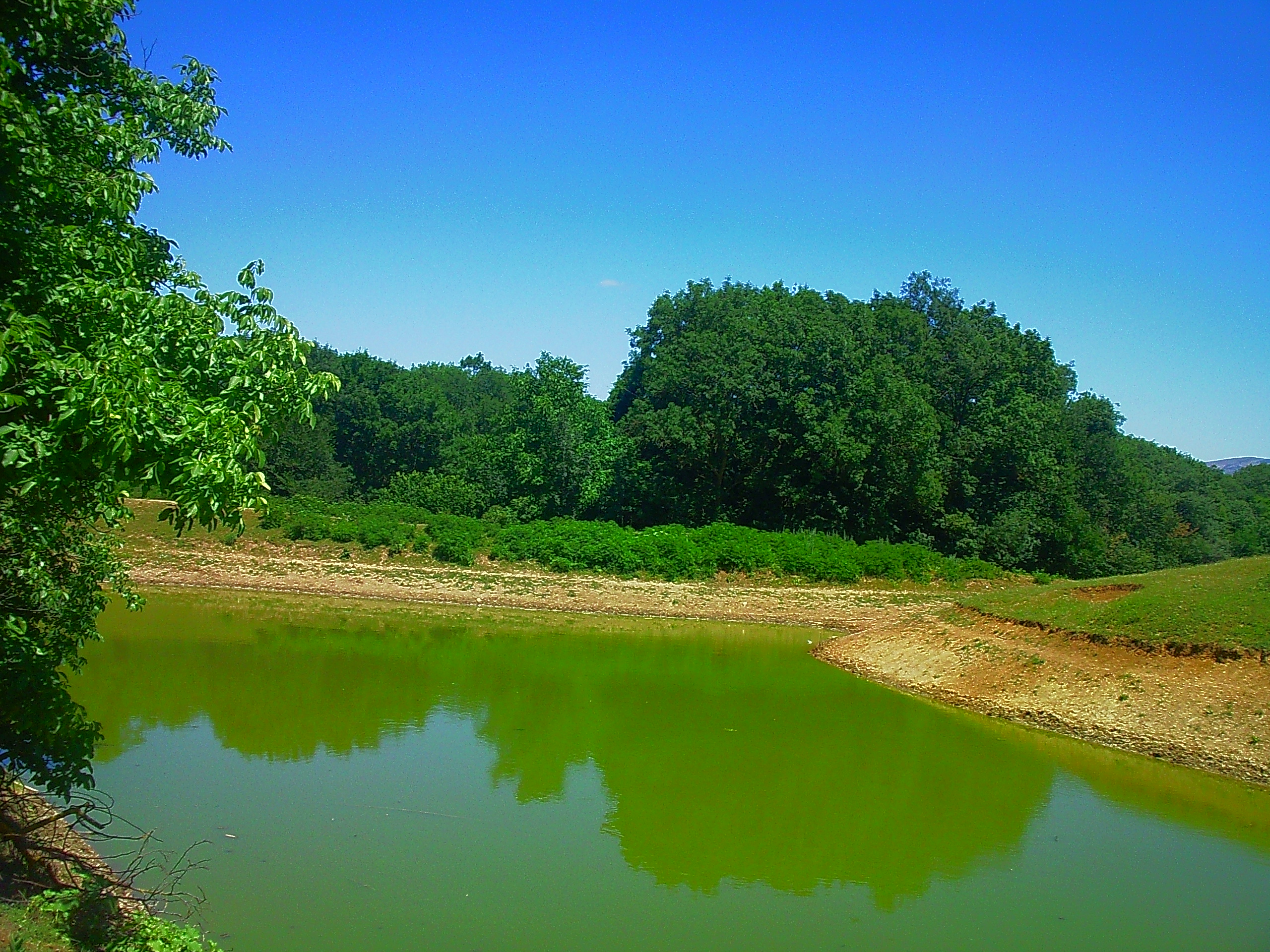 Село Краснолесье